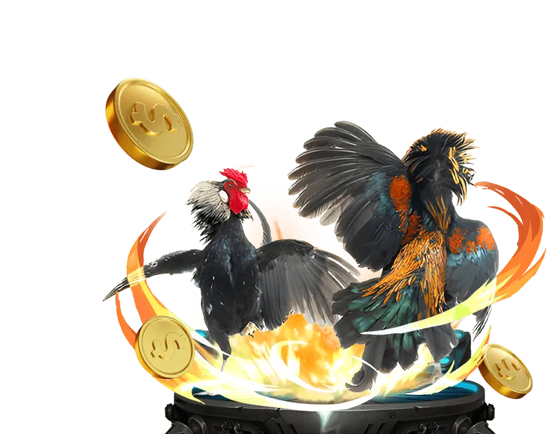 Tin tức cá cược thể thao TK88